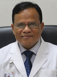 Brig. Gen. Prof. Dr. Nurul Amin