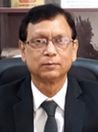 Prof. Dr. Dilip Kumar Bhowmik