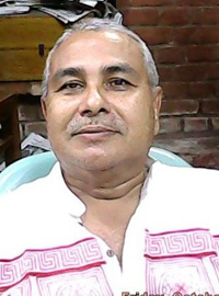 Prof. Dr. Mrinal Kanti Roy